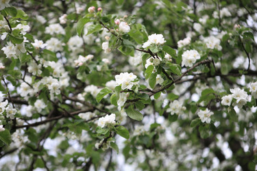 Similar image 21403466