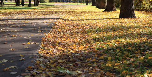 Similar image 21403467