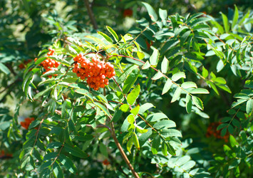 Similar image 21403471