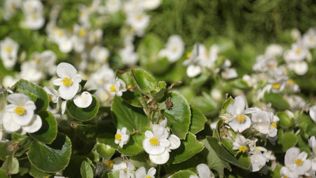 Similar image 21403474