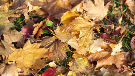 Similar image 21414809