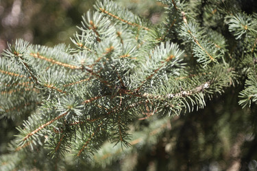 Similar image 21414968