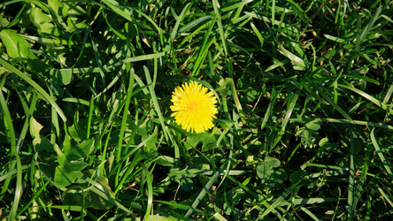 Similar image 21414970