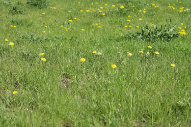 Similar image 21415286