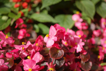 Similar image 21415292