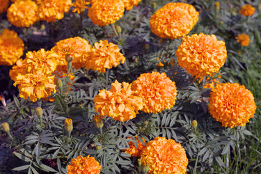 Similar image 21415296