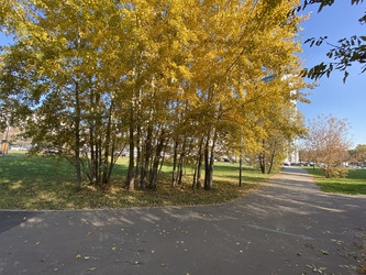 Similar image 21415299