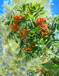 Similar image 21415302