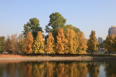 Similar image 21415303