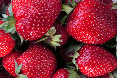 Similar image 21425017