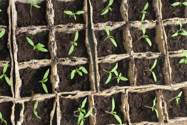 Similar image 21412301