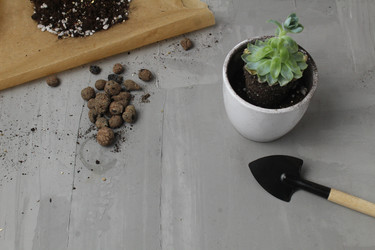 Similar image 21412302