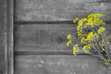 Similar image 21390179