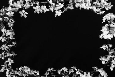 Similar image 21390180