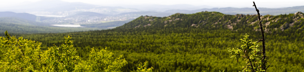 Similar image 21412310