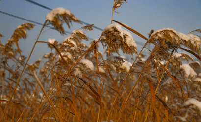 Similar image 21412312