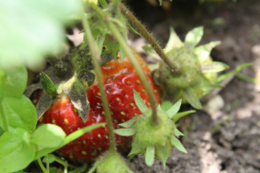 Similar image 21412324