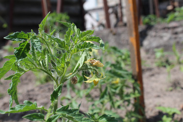 Similar image 21412325