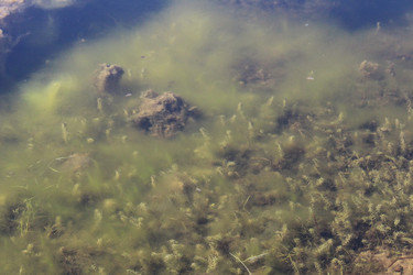 Similar image 21412329