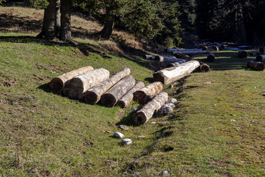 Similar image 21420477