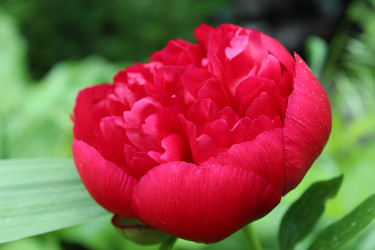 Similar image 21412340