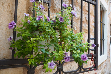 Similar image 21417322