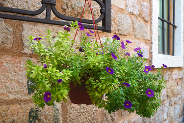 Similar image 21417323