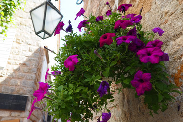 Similar image 21417324