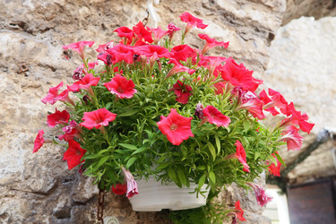 Similar image 21417745