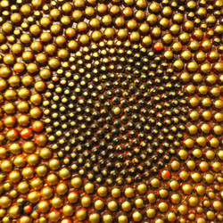 Similar image 21416170