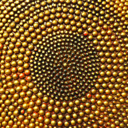 Similar image 21416171