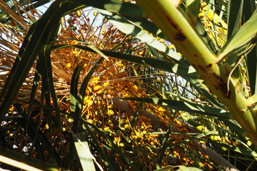 Similar image 21416459