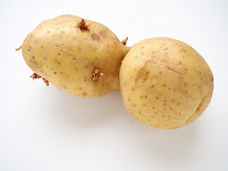 Similar image 21389119