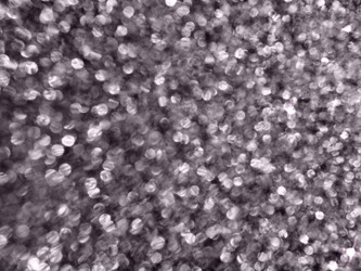 Similar image 21417756