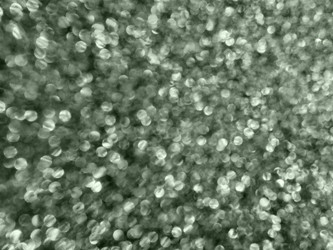 Similar image 21417759