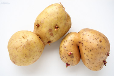 Similar image 21418200