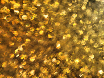 Similar image 21389305