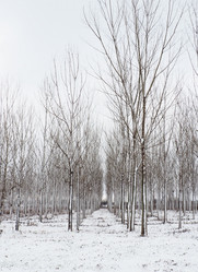 Similar image 21389309