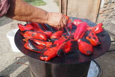 Similar image 21390569