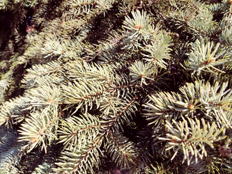 Similar image 21416474