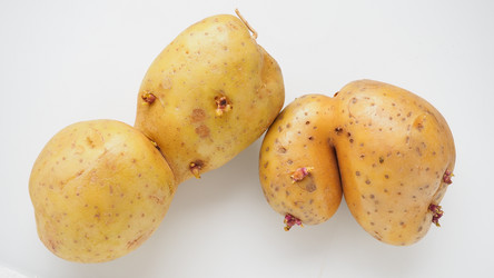 Similar image 21416960