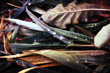 Similar image 21418209