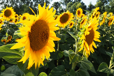 Similar image 21390209