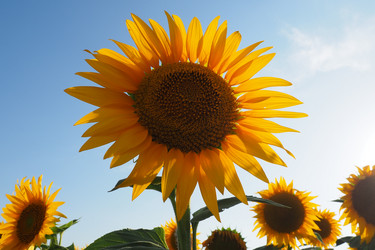 Similar image 21390213