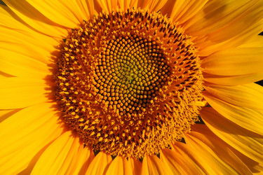 Similar image 21390219