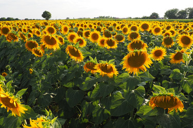 Similar image 21390221