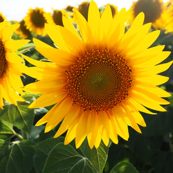 Similar image 21390223