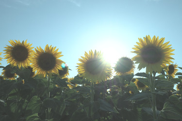 Similar image 21390224