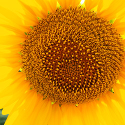 Similar image 21390575