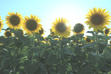 Similar image 21390577